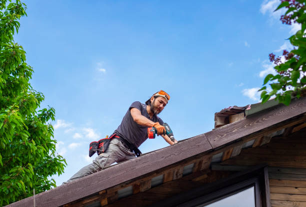 Best Steel Roofing  in Red Oak, NC